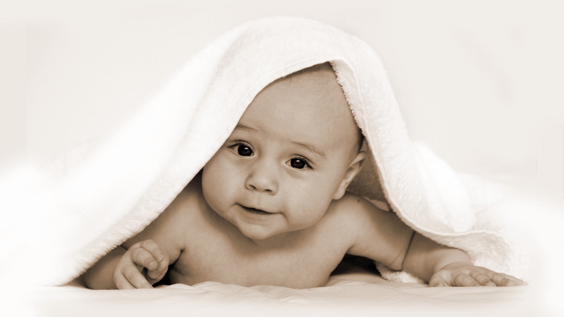 黑龙江捐卵自怀试管婴儿短期方案的卵泡